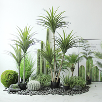 Simulation of long-leaf agave plant tropical desert fake green plant indoor plant angle landscape decoration floor ornaments