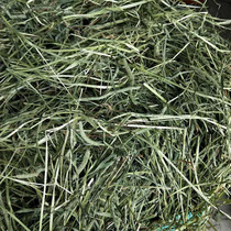 2021 Stubble Timothy grass High-quality grass Rabbit Chinchilla guinea pig Dutch pig hay Gross weight 1000 grams