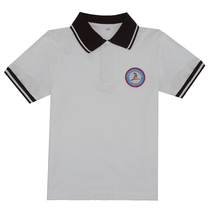 Dongguan Houjie Haiyue Primary School Summer School Uniform Summer Boys and Girls Primary School Short Sleeve T-shirt Pants Set