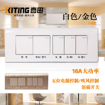 Long 118 type Bath switch 5 bathroom 5 open toilet air heating special switch 16A high power Universal