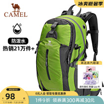 Camel outdoor mountaineering bag Male large capacity backpack Waterproof lightweight shoulder bag Female hiking sports travel travel bag