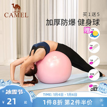 Camel Yoga Ball Set Thick Explosion-proof Beginner Fitness Ball Childrens Ball Stretch Yoga Ball Women