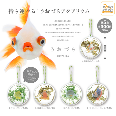 taobao agent KOROKORO twisted egg mini aquarium UOZURA fish face goldfish ornamental fish charm key bag pendant