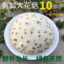 Urinary Cut Foot Oversized Flower Mushrooms Dry Goods Farmhouse Dried Mushrooms Mushrooms Mushrooms Without Heel Meat 500g incense