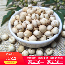 Sulfur-free fritillary imitation wild Songbei Sichuan fritillary origin premium small Tong Ren Tang farm 50g can be ground