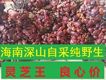 Hainan Wuzhishan Qiongzhong Wild Ganoderma Zhi Wang Xiaohong Chizhi Zhuzhi boutique 500g first-hand conscience price