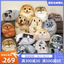 Taiwan brand Henry House family plush removable stone cat dog rabbit shape pillow hand pillow doll toy