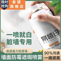 Repair interior wall self-repair wall color wall yellow patch ceiling agent paste wall hole plaster seam beauty wall spray paint