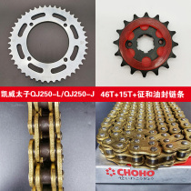 Applicable Qianjiang Kaiwei Taizi QJ250-J QJ250-L chain chain disc tooth disc sleeve chain signs and oil seal chain