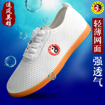 Pursuit Hero Tai Chi Shoes Summer Womens Bull Gluten Bottom Mesh Surface Breathable Taijiquan Martial Arts Practice Shoes Men Sports Cloth Shoes