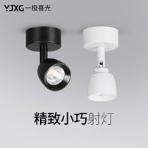 Small spotlight led light lamp adjustable angle household wall washing light mini small spotlight anti-glare three-color dimming