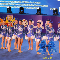 Customized cheerleading competition clothing cheerleading clothing cheerleading competition clothing aerobics clothing new female male