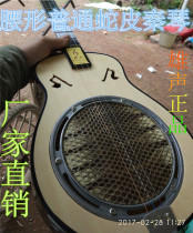 Male voice waist shape Guangdong drama Qinqin musical instrument three strings Qinqin snakeskin old man beginner factory direct sales
