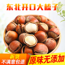 21 years of new goods northeast wild opening original big hazelnuts cooked without adding pregnant women Nuts snacks fried goods 500g