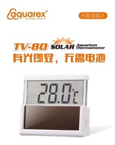 aquarex Ruisi thermometer fish tank electronic digital liquid crystal display thermometer water temperature meter