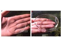  Glass shrimp food bowl feeder Benthic fish ornamental shrimp feeder Shrimp feeder Crystal shrimp shrimp food feeding feed basin