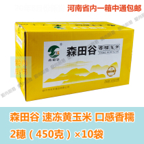Morita Valley Northeast frozen sticky corn 4 5kg20 spike box taste sweet and waxy New date in Henan Province