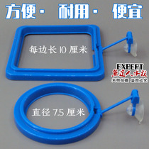  Anti-drift feeding ring Fish tank feeder Feeding ring Fish tank Aquarium feeding ring Feeding fish food