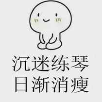 Play Guitar Play and Sing-VIP continuous update