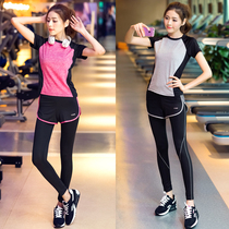 Yoga suit womens summer gym exercise suit Beginner quick-drying clothes Sexy fashion professional running clothes show thin