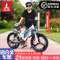Phoenix brand children's bicycle male 7-13-year-old Zhongda children's disc brake 20 22 inch female aluminum alloy variable speed mountain bike