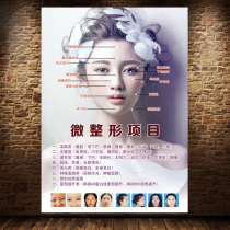 Beauty salon micro plastic facial firming protein line lifting poster advertising campaign posters poster 1942