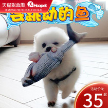 Dog toys Pet dog boredom artifact Molar small bite-resistant puppy supplies Electric puppy than bear Corgi cat