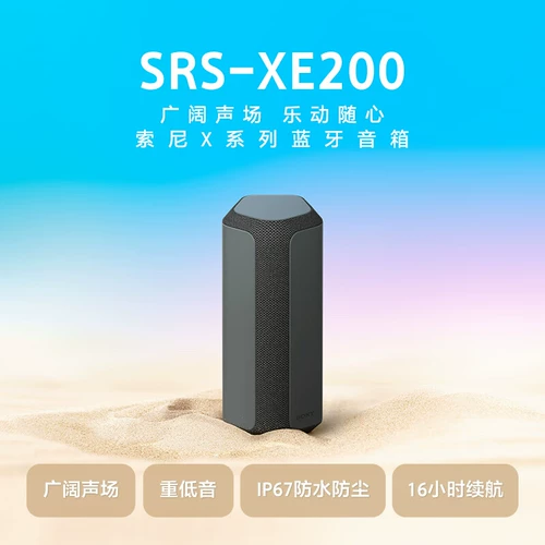 Sony/Sony SRS-XE200 XE300 БАСОВЫЙ ПЕРЕВИСКИ
