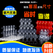 10 egg tray Plastic red soil egg plastic egg tray Egg tray Creative egg packing box for eggs