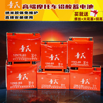 Tongs motorcycle battery 12v maintenance-free dry battery 125 bending beam 12V 9a7a scooter Universal