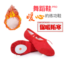 Plus velvet New 2-year-old 14-year-old shoes exercise shoes autumn and winter warm girls cat claw soft-soled shoes ballet dancing shoes