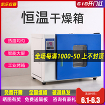 Industrial small oven Electric constant temperature blast oven oven Laboratory oven high temperature before and after opening the door