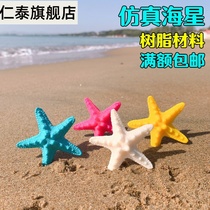 Soft glue simulation five-pointed starfish model toy seabed marine animal fish tank beach decoration ornaments childrens education