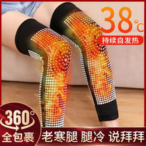 Warm Wormwood knee joint long self-heating old cold leg magnetic therapy Lady pain leg protection knee joint cold