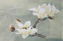 The high-definition material of fine brushwork traditional Chinese painting can be directly colored and photographed in any three pieces.