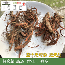 Shennongjia wild Salvia miltiorrhiza red dry mountain ginseng purple red root Red warm medicine whole son 250 grams 2 pieces