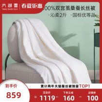 Taihu Snowy Silk Quilt 100% Mulberry Silk Spring Autumn Universal Quilt Quilted by Core Double Palace Cocoon Filament 2