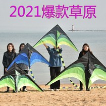 Weifang green prairie kite long tail adult children cartoon kite breeze easy to fly large