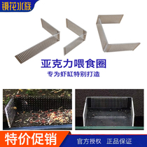Crystal shrimp feeder Su shrimp basin acrylic high permeable glass tube feeding circle ornamental shrimp transparent shrimp grain Plate Basin