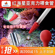 Red starfish acrylic coral feeding tube feeder