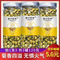 Three cans of chrysanthemum tea Tongxiang chrysanthemum flower tea to Hangzhou fire White clear chrysanthemum dry heat to solve wolfberry poison honeysuckle tea