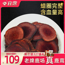 Yilu dry deer fluffy slices Jilin sika deer fresh velvet whole branches fresh blood slices red powder wine soup