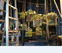 European-style iron bird cage decoration bird cage flower cage decoration bird cage decoration bird cage soft decoration lantern chandelier bird cage flower stand