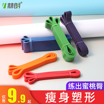 Stretch belt resistance with tensile belt with fitness male and female lead upward auxiliary with shoulder back warp resistance rope