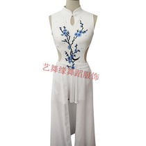 New womens acrobatic clothing Chinese style cheongsam pole dance one-piece practice clothing silk and satin hanging ring performance clothing aerial yoga