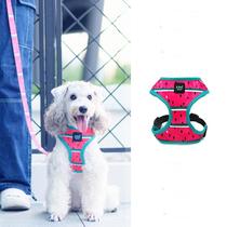IS PET Basic chest strap Dog Chain Small dog Dog traction rope Teddy dog Vest dog walking rope