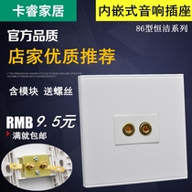 Type 86 surround sound speaker panel power amplifier audio-visual multimedia audio panel Speaker terminal Post