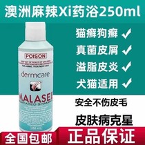 Australia MALAXI spicy wash cat ringworm fungus medicine bath Cat dog pet skin disease shower gel Acaricide sterilization
