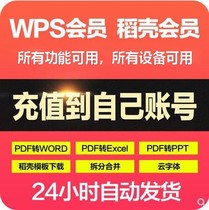 wps rice husk Moon card vip will pdf to word picture merge data Template Super resume PPT template yuan