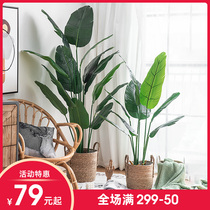 Large Nordic simulation plant Bird of paradise traveler banana Interior decoration flower Fake potted green plant Net red ornament tree